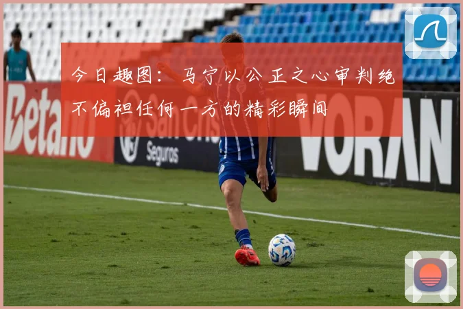今日趣图：马宁以公正之心审判绝不偏袒任何一方的精彩瞬间